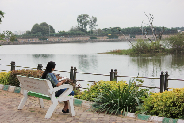 Reading In Paradise